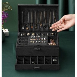 Ylellinen Musta Korulipas Lukolla | Tilava Korurasia