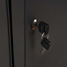 Lukittava avainkaappi 48 koukkua ja avaimenperää | Harmaa avainlaatikko