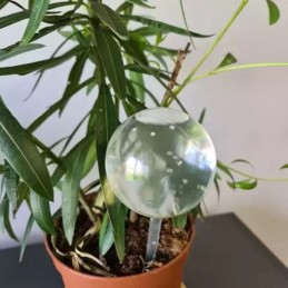 Kastelupallot huonekasveille Gardlov 8 kpl | Automaattinen kastelulaite ruukkukasveille