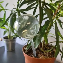 Kastelupallot huonekasveille Gardlov 8 kpl | Automaattinen kastelulaite ruukkukasveille