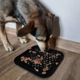 Silikoninen nuolumatto koiralle ja kissalle | Musta matto levityslapiolla