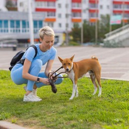 Koirankakkapussit 1000 kpl (50 rullaa) | Koiran kakkapussit ja kotelo