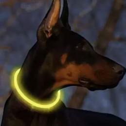 Ladattava LED-valopanta koiralle Purlov 24200 | Loistava turvapanta koirille ja kissoille