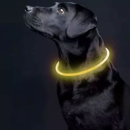 Ladattava LED-valopanta koiralle Purlov 24200 | Loistava turvapanta koirille ja kissoille