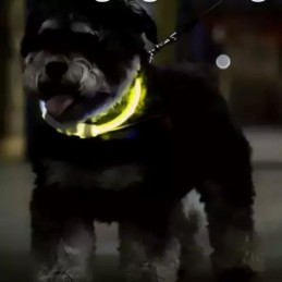 Ladattava LED-valopanta koiralle Purlov 24200 | Loistava turvapanta koirille ja kissoille