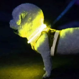 Ladattava LED-valopanta koiralle Purlov 24200 | Loistava turvapanta koirille ja kissoille