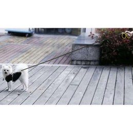 Automaattinen kelatalutin Purlov 8 m max 50 kg L-XL | Vahva hihna isolle koiralle lukituksella