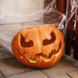 Keinotekoinen hämähäkinseitti ja 2 hämähäkkiä | Halloween-koriste 60 g
