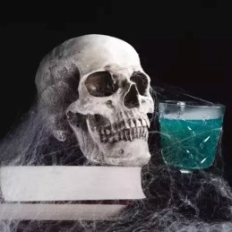 Keinotekoinen hämähäkinseitti ja 2 hämähäkkiä | Halloween-koriste 60 g