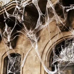 Keinotekoinen hämähäkinseitti ja 2 hämähäkkiä | Halloween-koriste 60 g