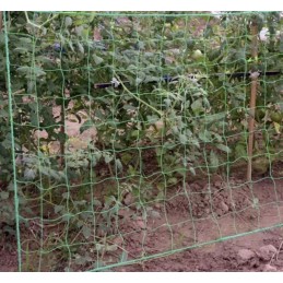 Kasvitukiverkko 2 × 20 m – vihreä