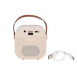 Langaton karaoke-setti | 2 mikrofonia | Bluetooth 5.3 | RGB-valot