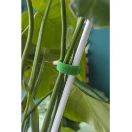 Kasvien sidontanauha Velcro 1cm x 5m | Kestävä tarranauha