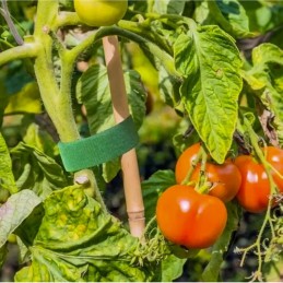 Kasvien sidontanauha Velcro 1cm x 5m | Kestävä tarranauha