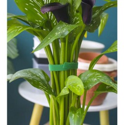 Kasvien sidontanauha Velcro 1cm x 5m | Kestävä tarranauha