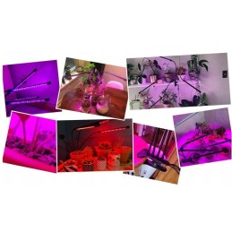 LED-kasvivalaisin 3 päätä | Täysi spektri | Timer ja USB-virta
