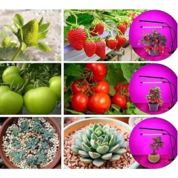 LED-kasvivalo neljällä päällä | Täysi spektri ja ajastin | USB-virta