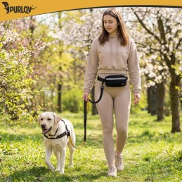 Juoksuvyö ja joustotalutin isolle koiralle | 50 kg | Heijastava