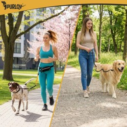 Juoksuvyö ja joustotalutin isolle koiralle | 50 kg | Heijastava