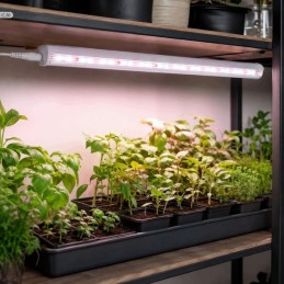 LED-kasvilamppu ja kasvivalo 60 cm | 15 W 4000 K kasvivalaisin